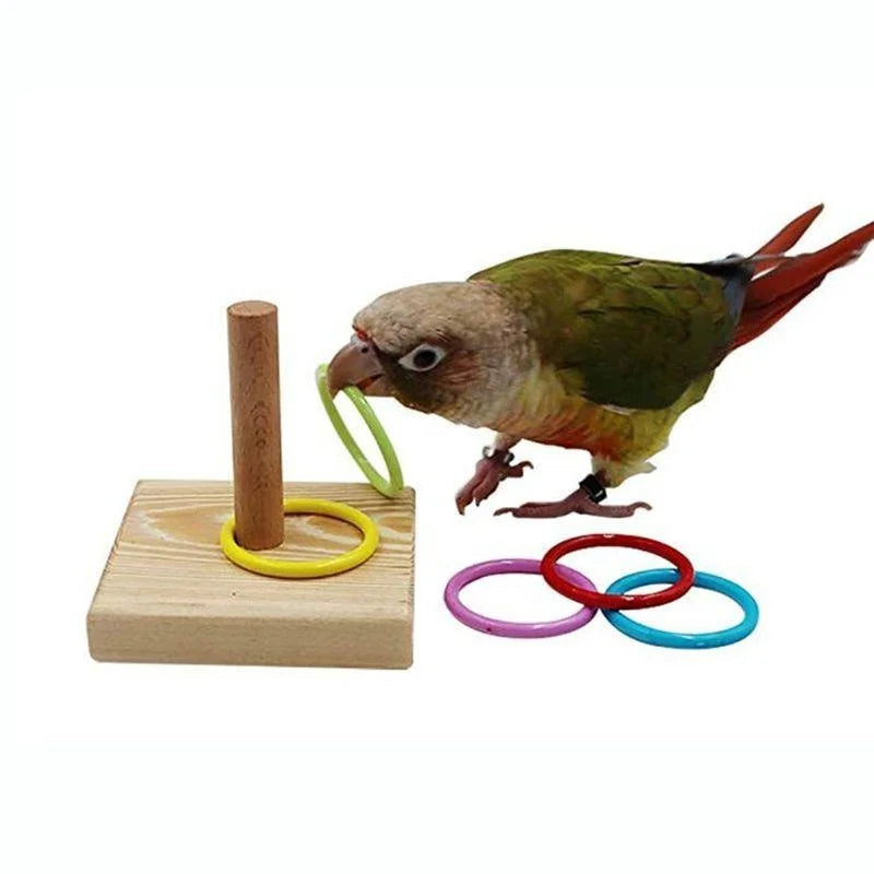 Interactive Pet Toys