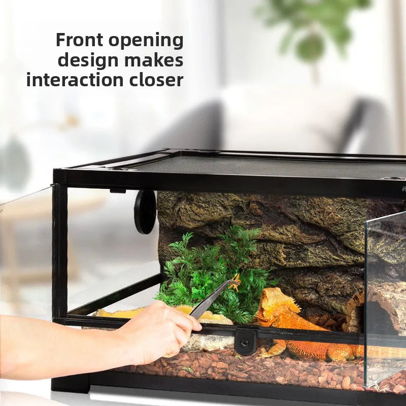 High Quality Closed Rectangular Reptile Terrarium Lizard Gecko Land Turtle Snake Climbing Tropical Rainforest Landscape