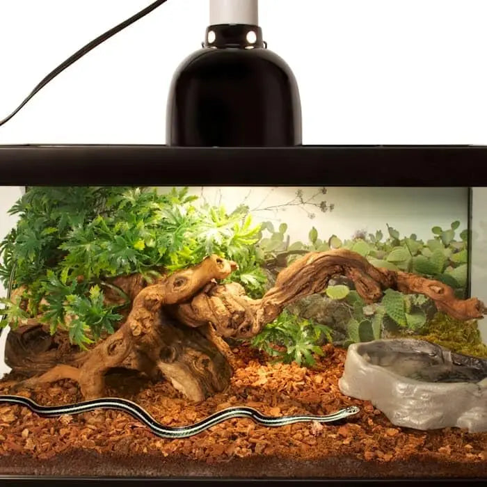 Natural Fir Bark Substrate for High Humidity Reptiles, 4qt, Lasts Up to One Year
