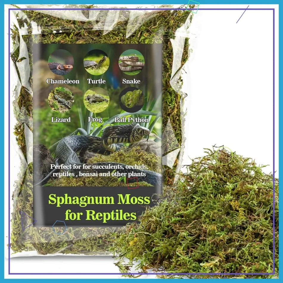 Dried Sphagnum Moss for Reptiles - Terrarium Substrate Bedding for Snakes, Turtles, Frogs, Geckos (5 oz)