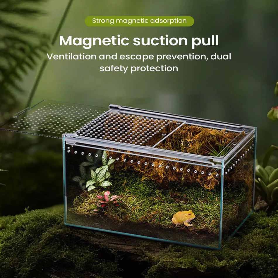 Spider Enclosure Transparent Reptile Terrarium Tank Habitat with Ventilation for Tarantula Gecko Snake Frog Scorpion Lizard