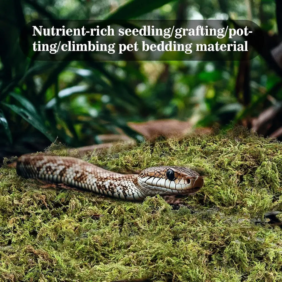 Sukh Sphagnum Moss or Reptiles - Terrarium Reptiles Moss Green Dried Peat Moss Habitat Bedding Moss or Snakes Turtle rog Gecko a