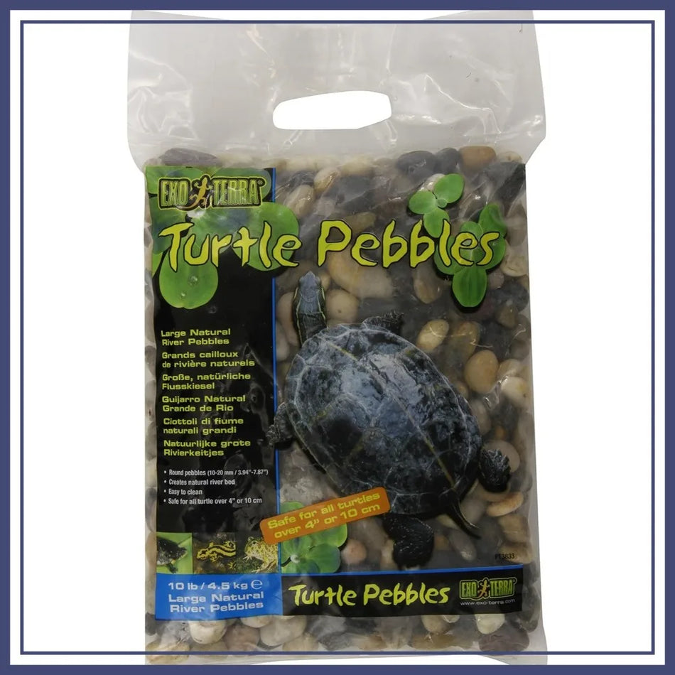 Smooth River Pebbles for Turtle Tank, Large 10lb Bag 0.3-0.4 Inch